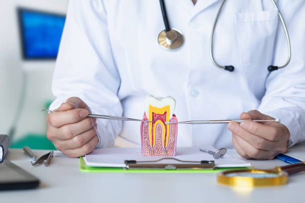 Best Emergency Wisdom Tooth Extraction in Kearny, NJ